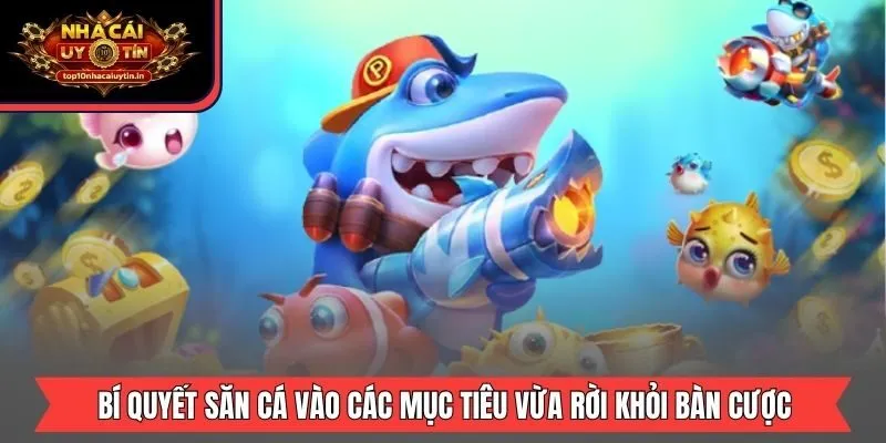 Bí quyết săn cá vào các mục tiêu vừa rời khỏi bàn cược