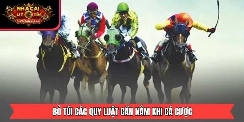 Bỏ túi các quy luật cần nắm khi cá cược