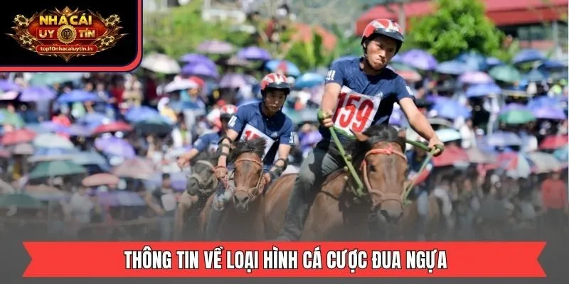 Thông tin về loại hình cá cược đua ngựa
