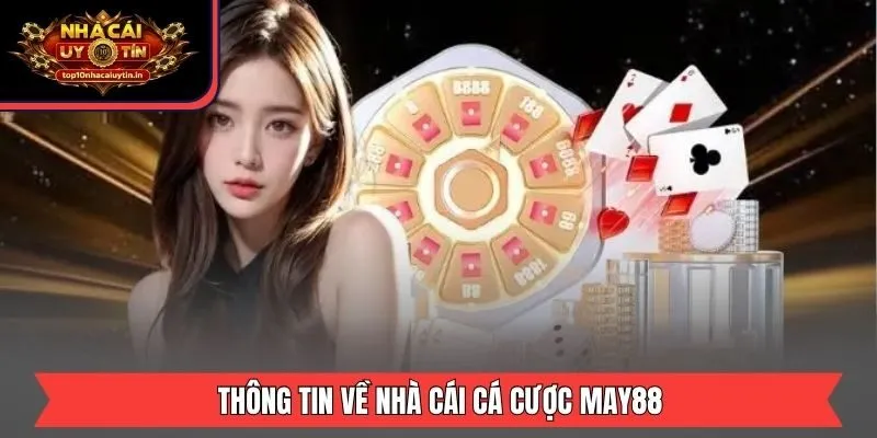 Thông tin về nhà cái cá cược May88